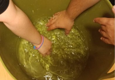 A Journey Through the Five Elements