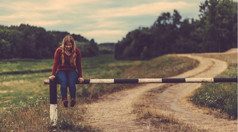 Youth sector in the Netherlands: Challenges and Opportunities